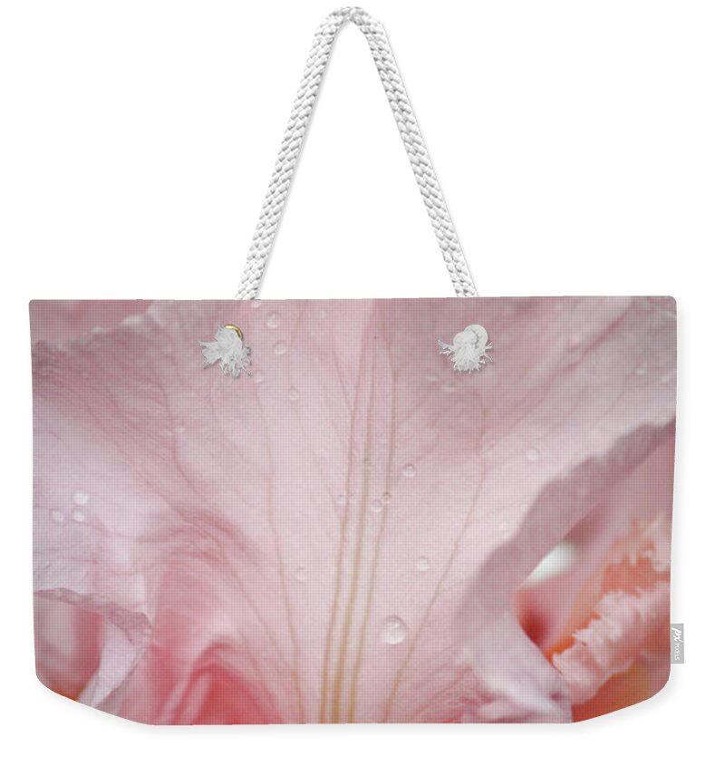 Iris Weekender Tote Bag featuring the photograph Pink Iris Study 12 by Teresa Mucha
