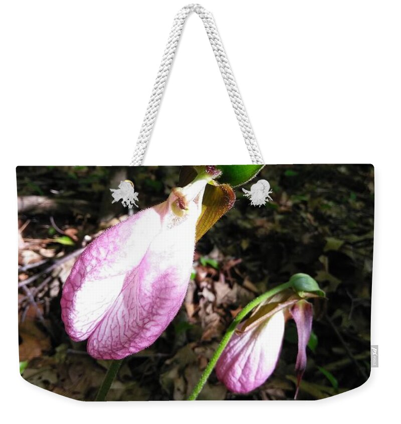 Orchid Weekender Tote Bag featuring the photograph Pink Ladies Slipper 1 by Robert Nickologianis