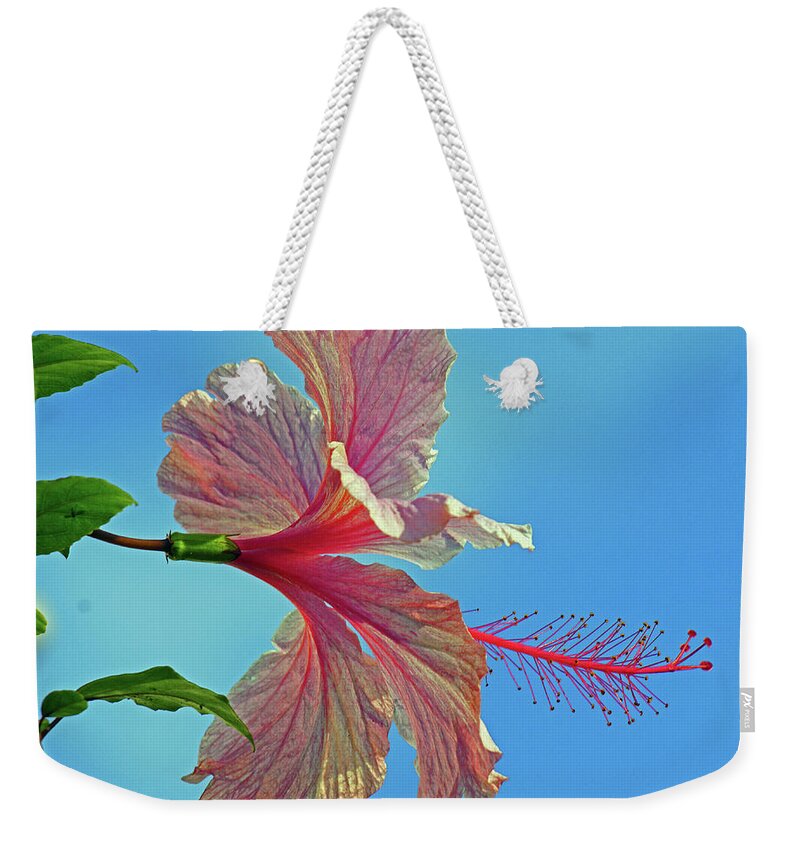 Flower Weekender Tote Bag featuring the photograph Pink Lady Hibiscus by Larry Nieland