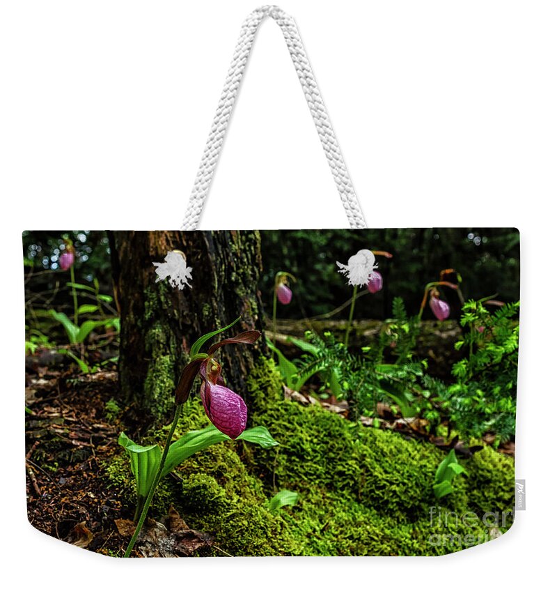 Pink Lady’s Slipper Weekender Tote Bag featuring the photograph Pink Ladys Slippers on Moss by Thomas R Fletcher