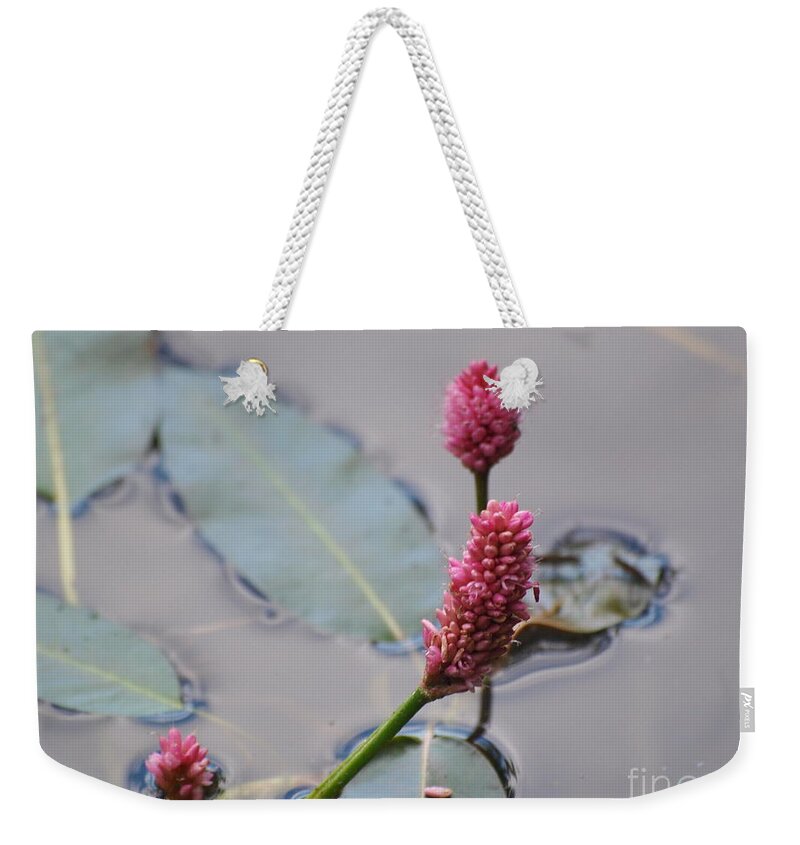 Pink Weekender Tote Bag featuring the photograph Pink Lily Pad by Vivian Martin