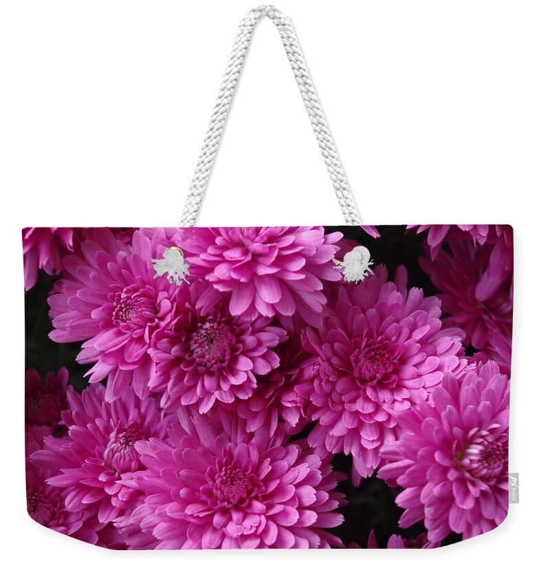 Mums Weekender Tote Bag featuring the photograph Pink Mums by Mary Courtney