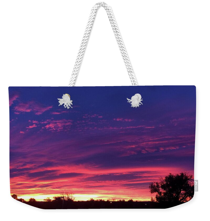 Pink Weekender Tote Bag featuring the photograph Pink On Blue by Trent Mallett