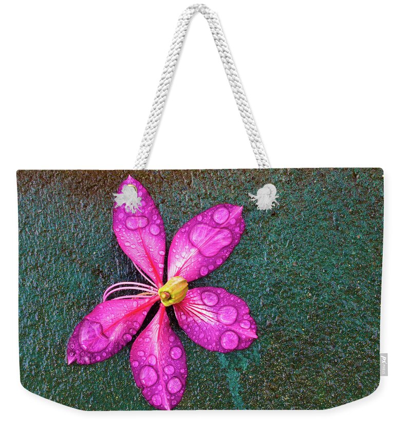 Christopher Johnson Weekender Tote Bag featuring the photograph Pink Orchid Flower by Christopher Johnson