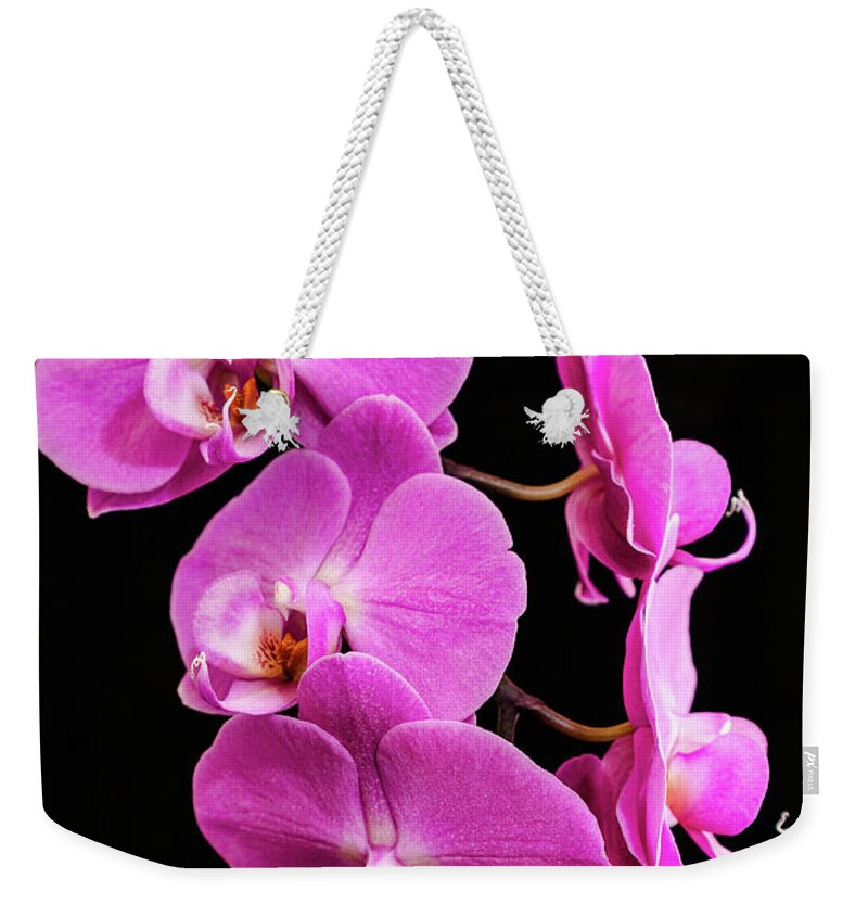 Pink Orchid Weekender Tote Bag featuring the photograph Pink Orchid with Black background by Andy Myatt