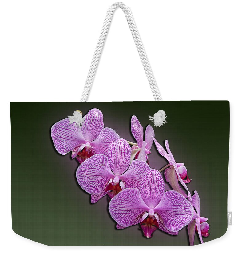 Moth Orchid Weekender Tote Bag featuring the photograph Pink Orchids by John Haldane