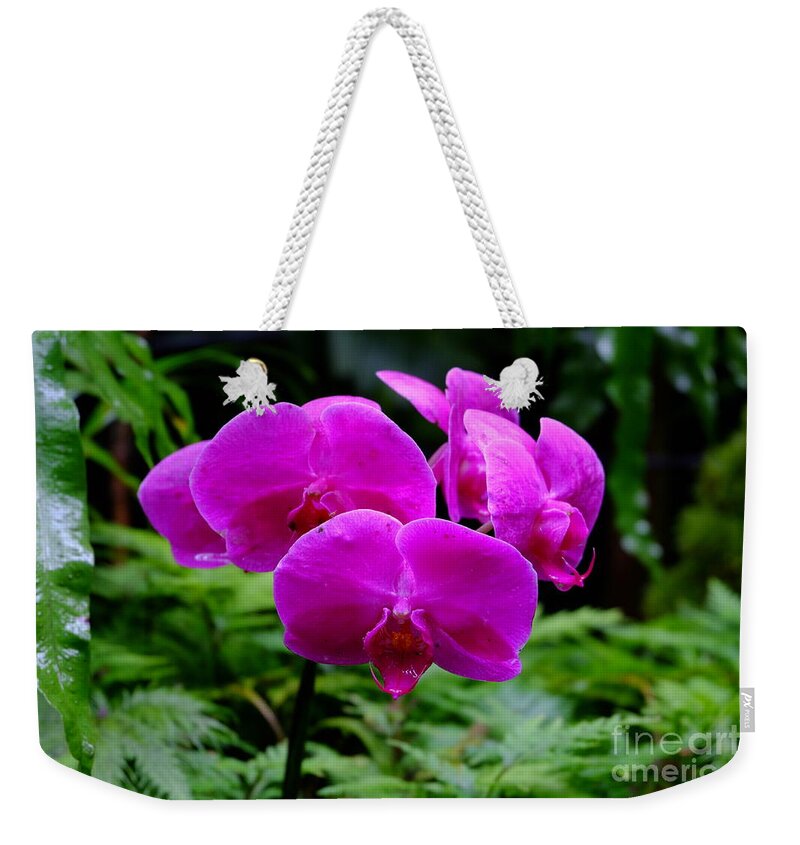 Orchid Weekender Tote Bag featuring the photograph Pink Orchids by Mini Arora