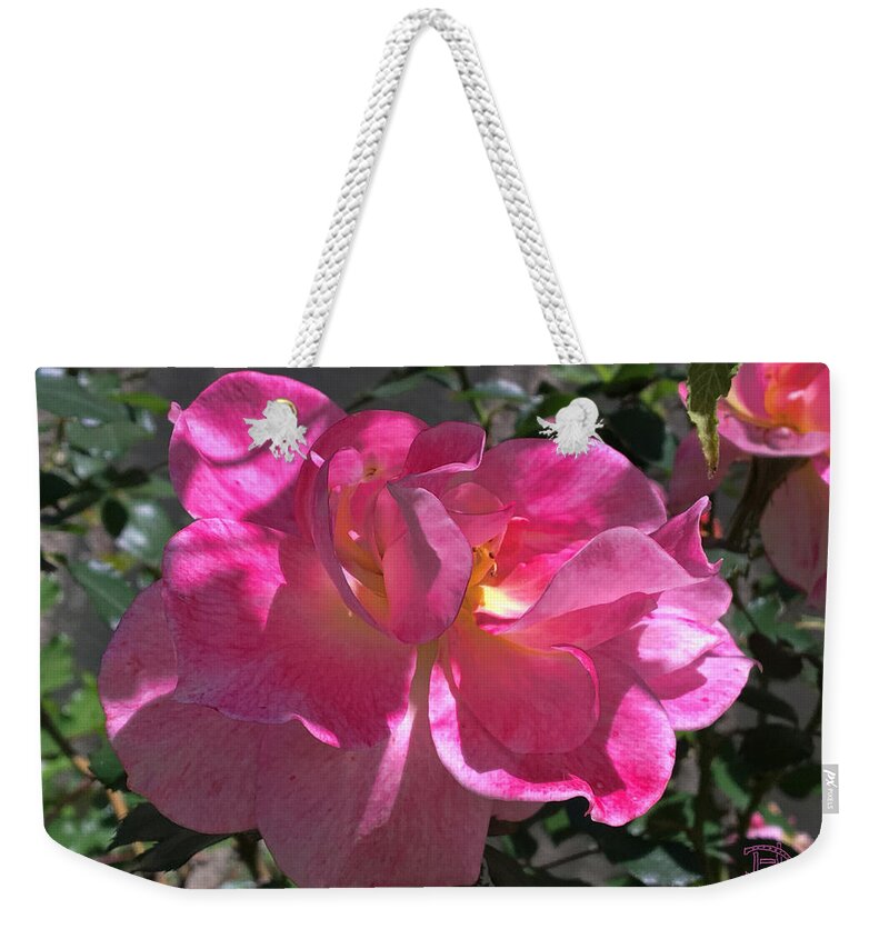 Pink Passion Weekender Tote Bag featuring the photograph Pink Passion by Daniel Hebard