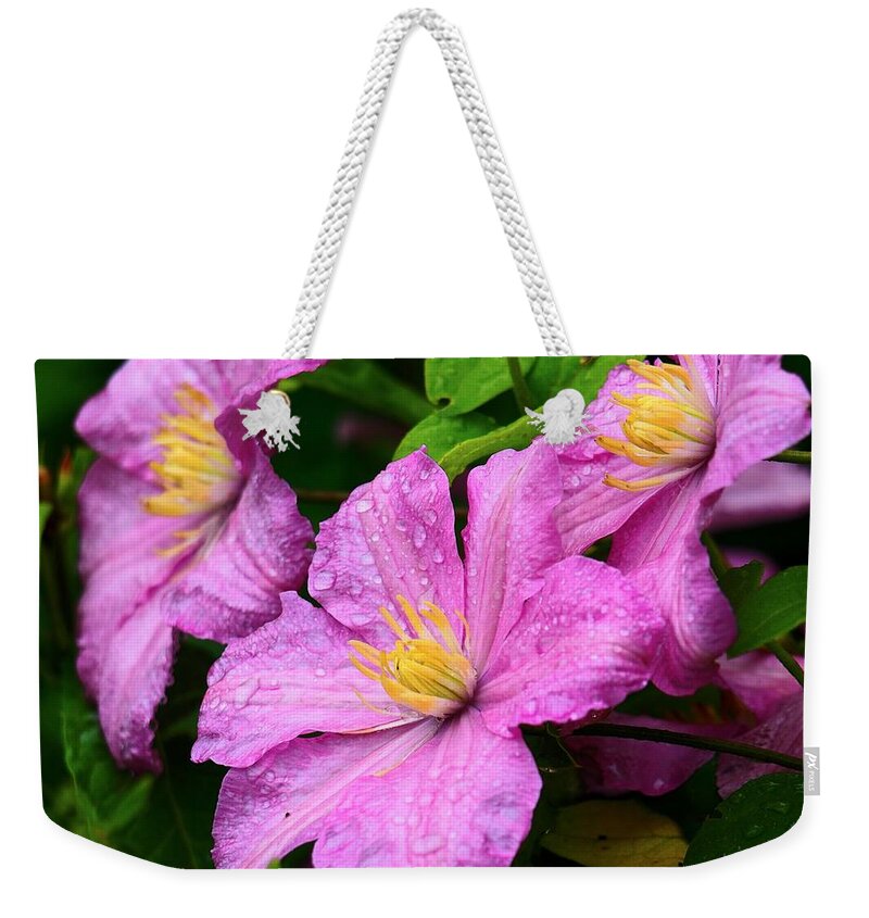 Purple Weekender Tote Bag featuring the photograph Pink Petals by Scott Olsen