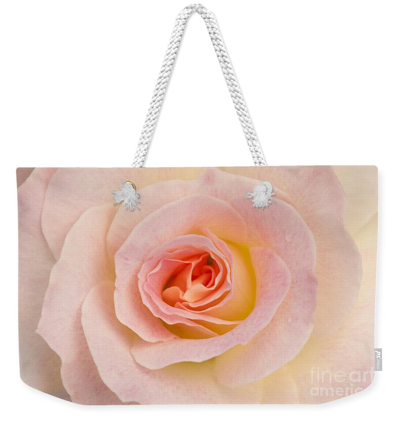 Rose Weekender Tote Bag featuring the photograph Sweetness by Patty Colabuono