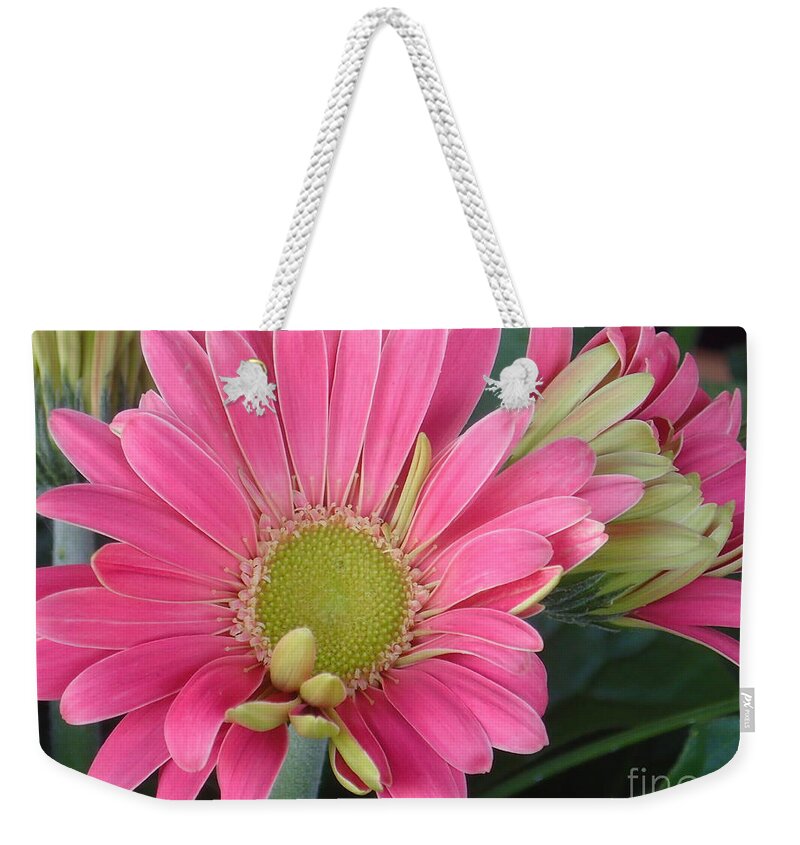 Flower Weekender Tote Bag featuring the photograph Pink Petals by Christina Verdgeline