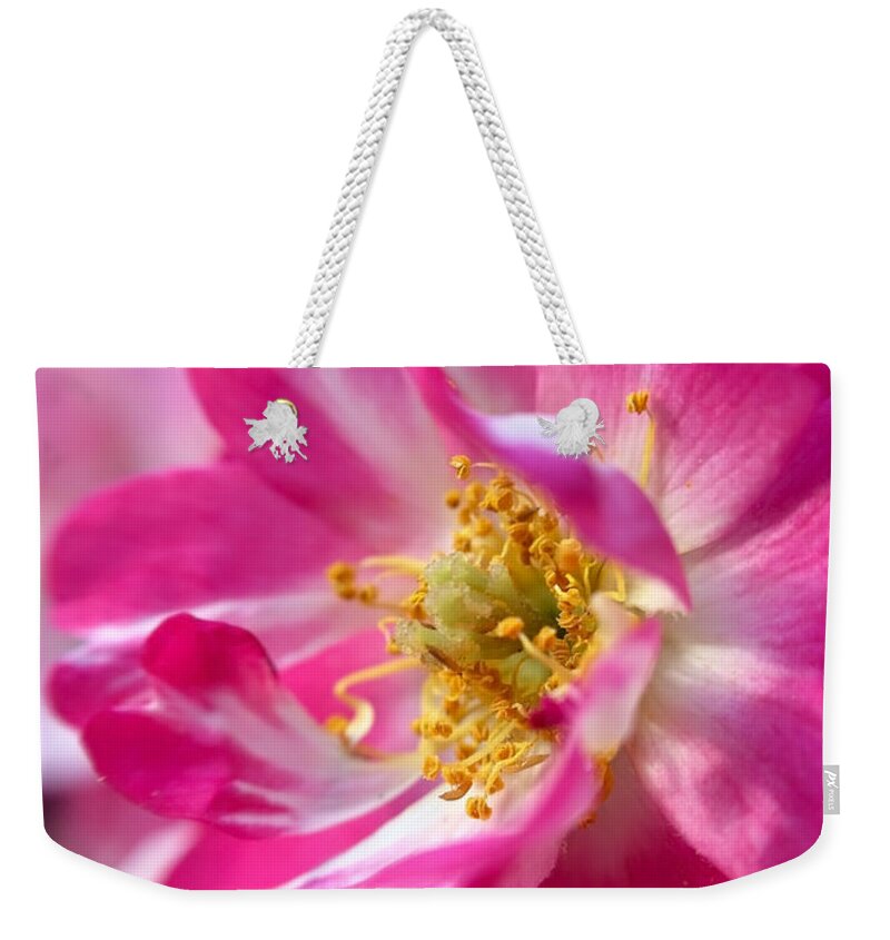 Pollen Weekender Tote Bag featuring the photograph Pink Pollen Party Palace by DiDesigns Graphics