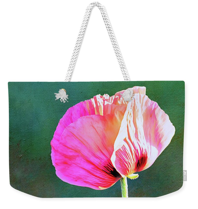 Pink Poppy Weekender Tote Bag featuring the photograph Pink Poppy in the Evening Light by Anita Pollak