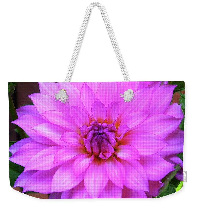 Pink Weekender Tote Bag featuring the photograph Pink Purple Dahlia Flower by Kristen Fox