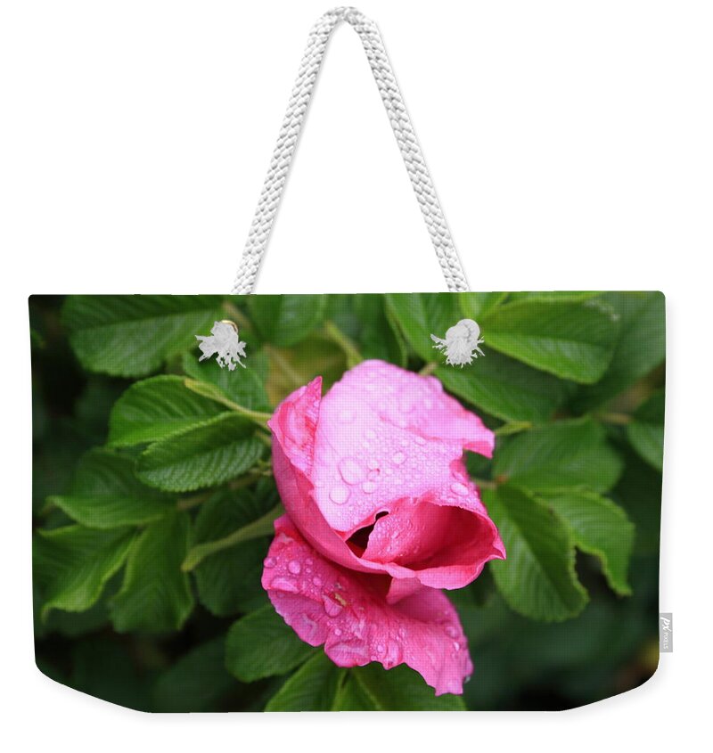 Fine Art Weekender Tote Bag featuring the photograph Pink Rose Bud by Doug Mills