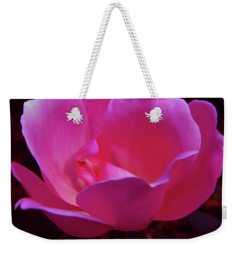 Rose Weekender Tote Bag featuring the photograph Pink Rose by D Hackett