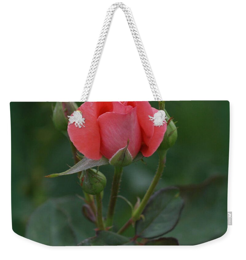 Pink Rose Weekender Tote Bag featuring the photograph Pink Rose by Ernest Echols