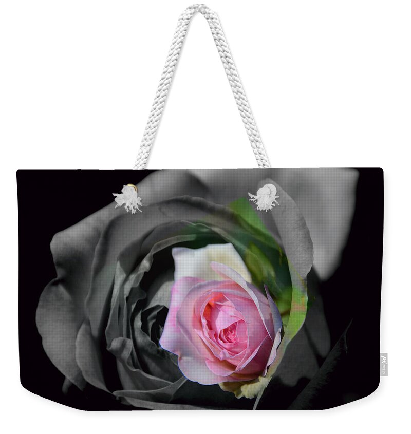Pink Weekender Tote Bag featuring the photograph Pink Rose Shades of Grey by Elaine Hunter