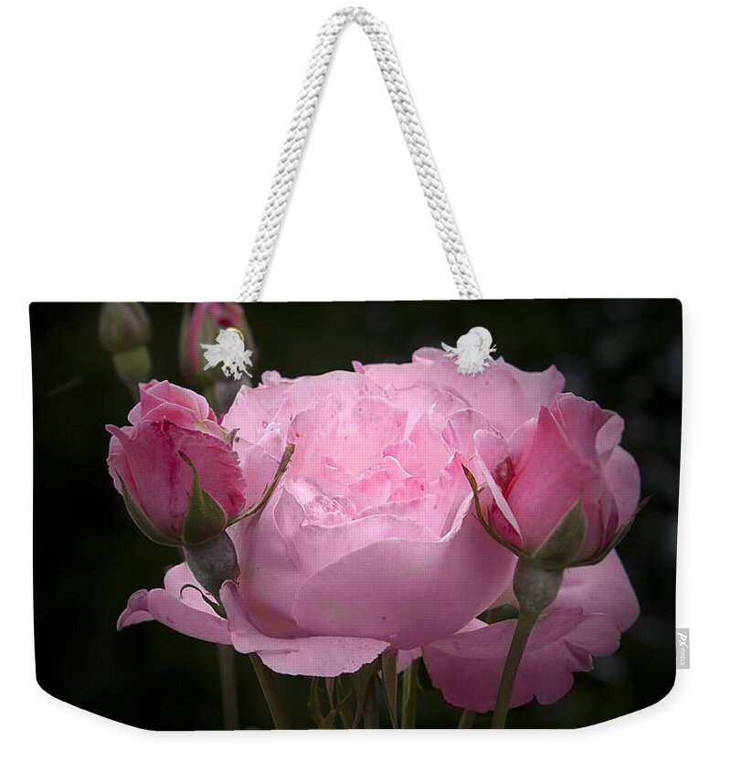 Rose Weekender Tote Bag featuring the photograph Pink Rose with Buds by Michele A Loftus
