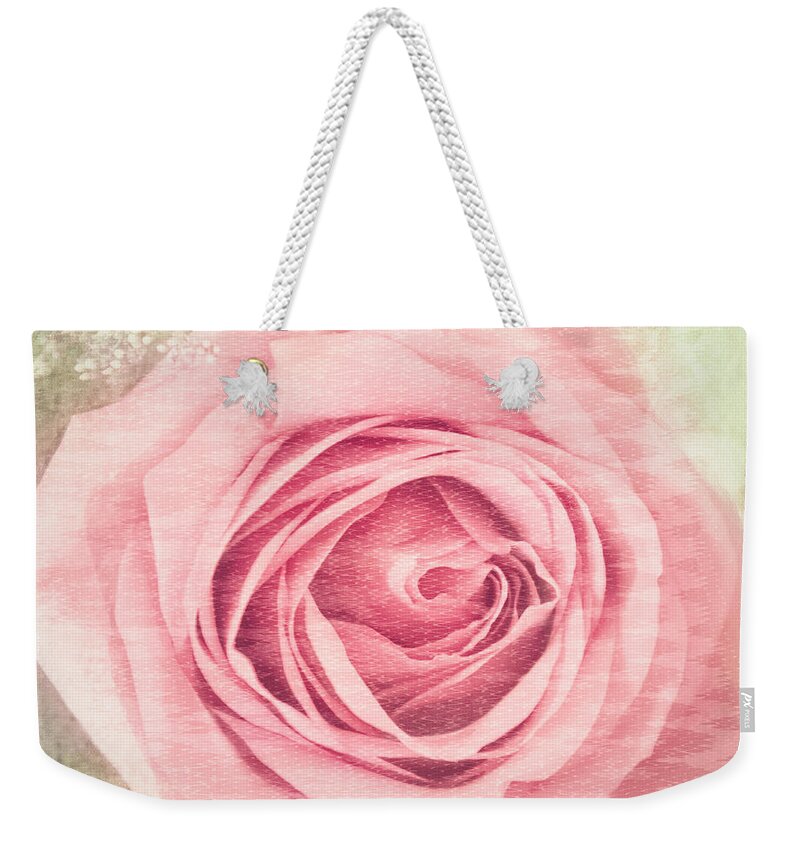 Pink Rose Weekender Tote Bag featuring the photograph Pink, Single Rose by Cynthia Wolfe