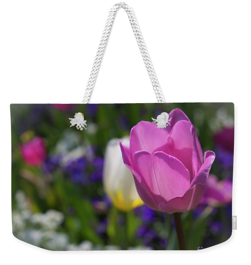 National Arboretum Weekender Tote Bag featuring the photograph Pink spring by Agnes Caruso