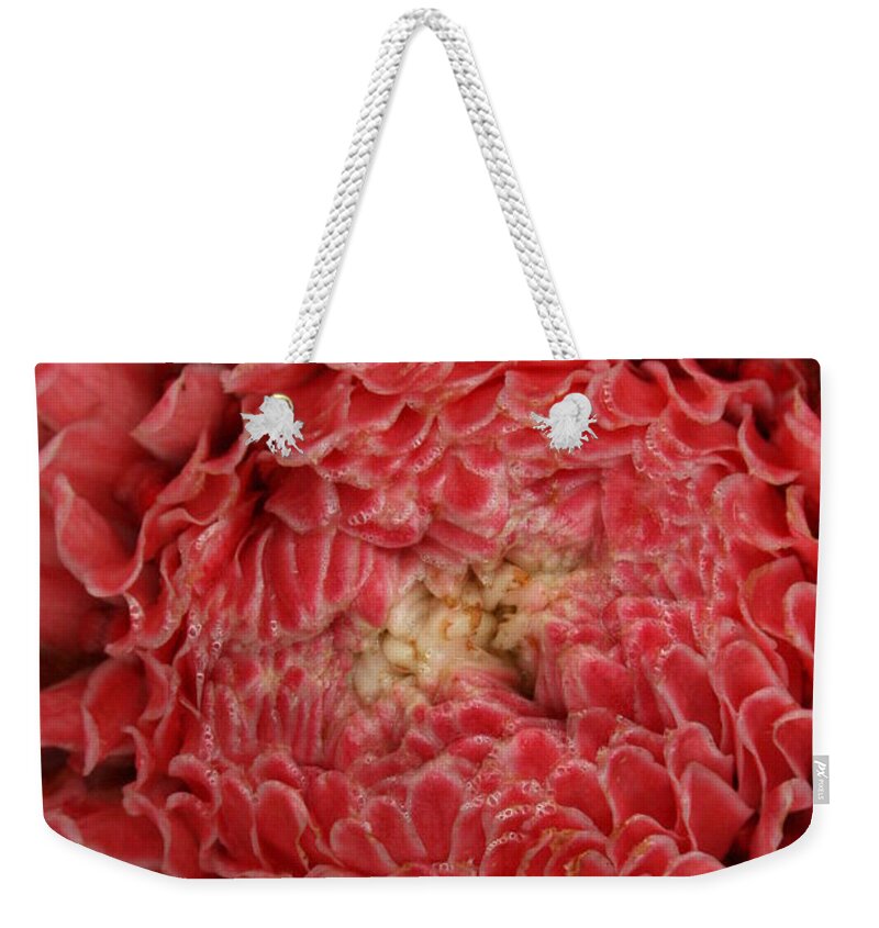 Torch Ginger Weekender Tote Bag featuring the photograph Pink Torch Ginger 1 by Jennifer Bright Burr
