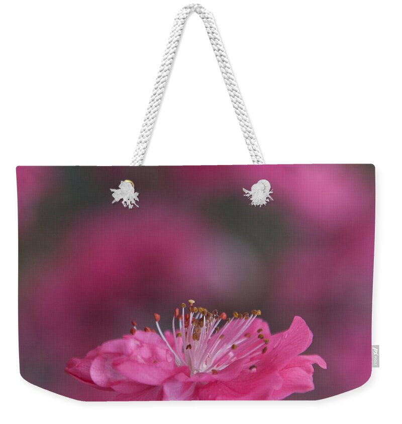 Tree Weekender Tote Bag featuring the photograph Pink Tree Blossom Opening by Cascade Colors