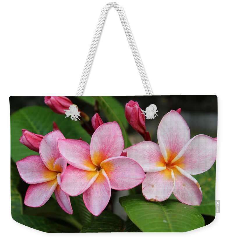 Vietnam Weekender Tote Bag featuring the photograph Pink Trio by Samantha Delory