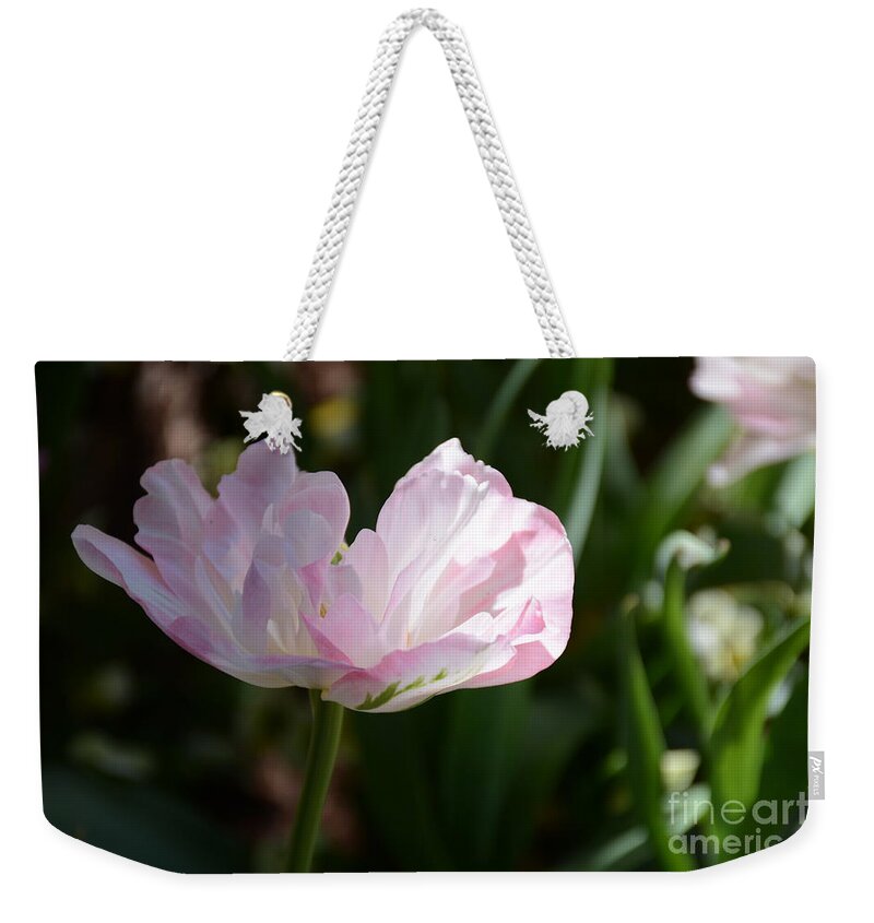 Flower Weekender Tote Bag featuring the painting Sun Kissed Flower by Constance Woods