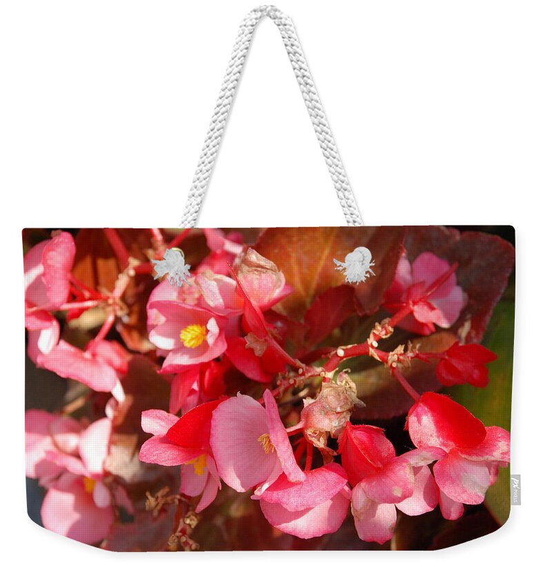 Small Pink Flowers Weekender Tote Bag featuring the photograph Pink Yellow Centers by Ee Photography