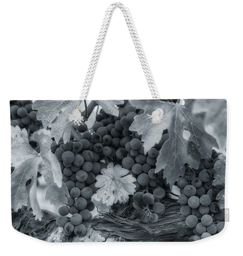 Abstract Weekender Tote Bag featuring the photograph Pinot 2 by Jonathan Nguyen
