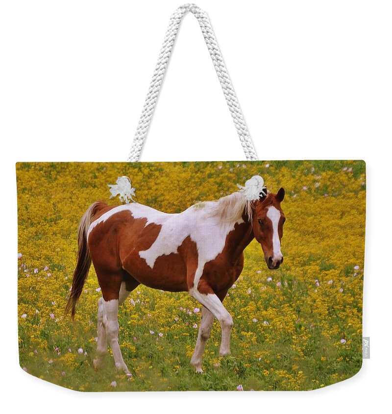Horse Weekender Tote Bag featuring the photograph Pinto Horse In Wild Flowers by Gaby Ethington