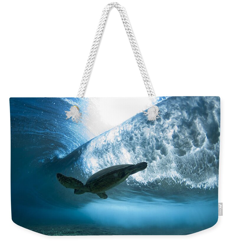  Ocean Weekender Tote Bag featuring the photograph Pipe Turtle Glide - part 3 of 3 by Sean Davey
