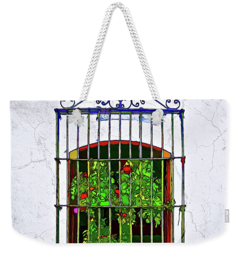 Architecture Weekender Tote Bag featuring the photograph Plant on Window by Maria Coulson
