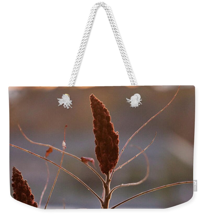 Plant Weekender Tote Bag featuring the photograph Plant over Niagara by Jason Hughes