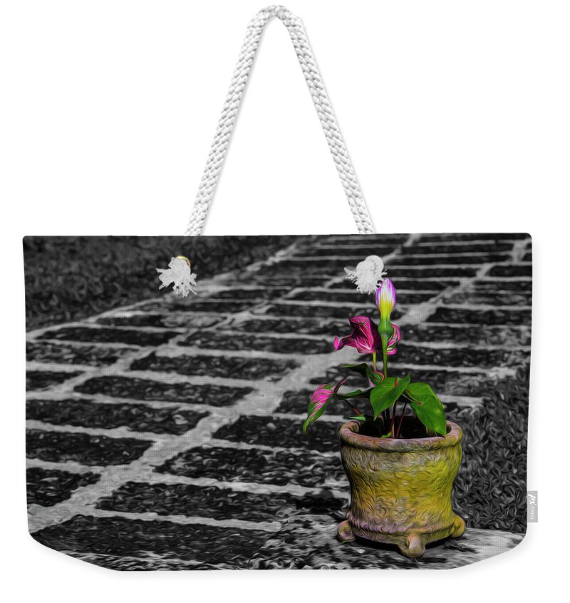 Plants Weekender Tote Bag featuring the photograph Plant by Stuart Manning