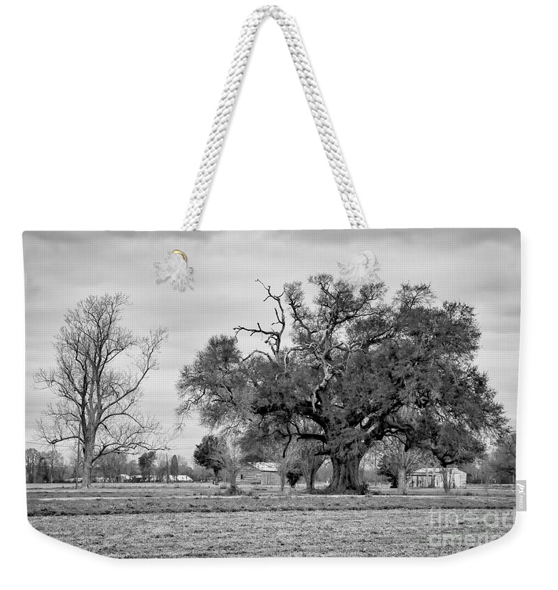  Oak Weekender Tote Bag featuring the photograph Plantation Live Oak -River Road LA by Kathleen K Parker