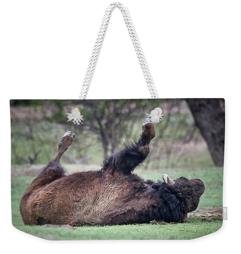 Mammal Weekender Tote Bag featuring the photograph Playing Dead by Paul Freidlund