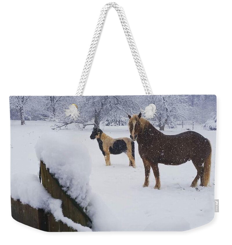 Horses Weekender Tote Bag featuring the photograph Playing in the snow by Rabiah Seminole