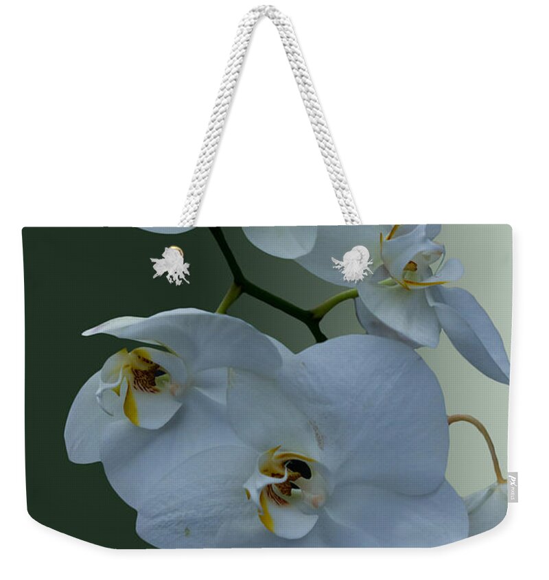 Orchidaceae Is A Diverse And Widespread Family Of Flowering Plants Weekender Tote Bag featuring the photograph Pleasant by Ramabhadran Thirupattur