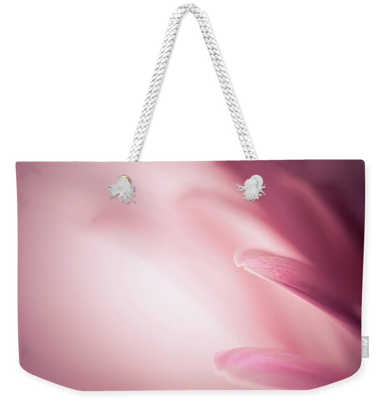Flower Weekender Tote Bag featuring the photograph Pleasingly Pink by Peter Scott