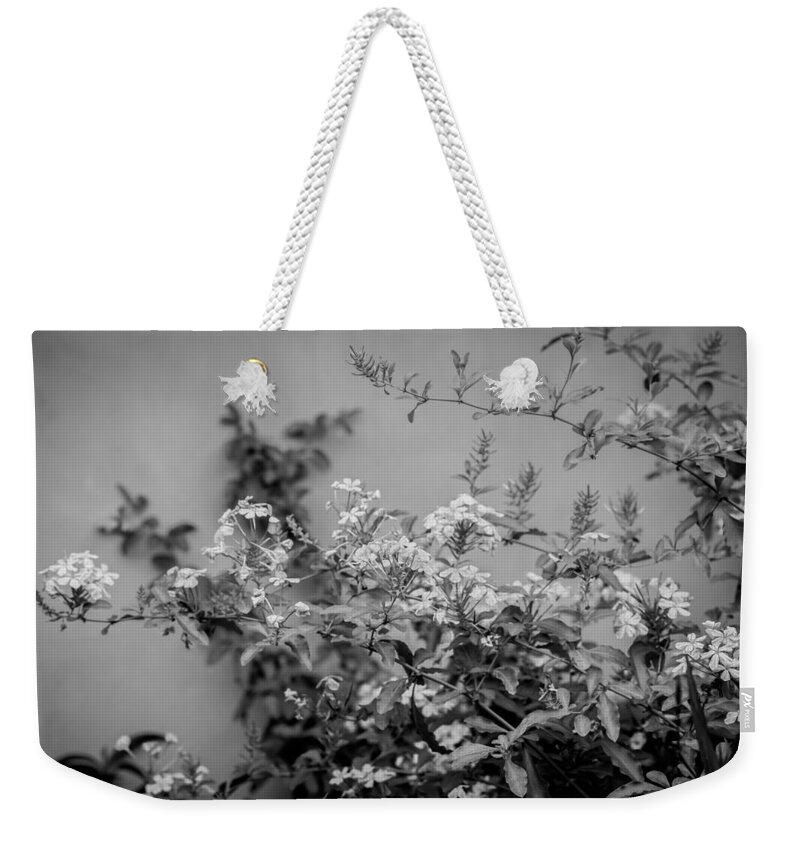 Plumbago Weekender Tote Bag featuring the photograph Plumbago Auriculata Painted BW by Rich Franco