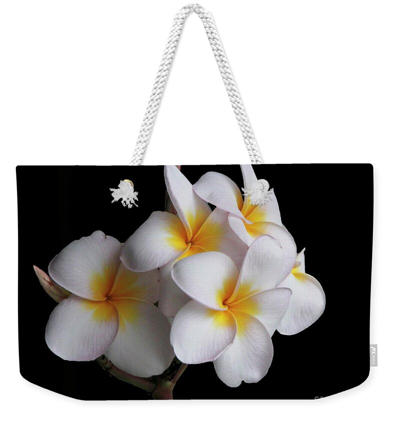  Flora Weekender Tote Bag featuring the photograph Plumeria by Mariarosa Rockefeller