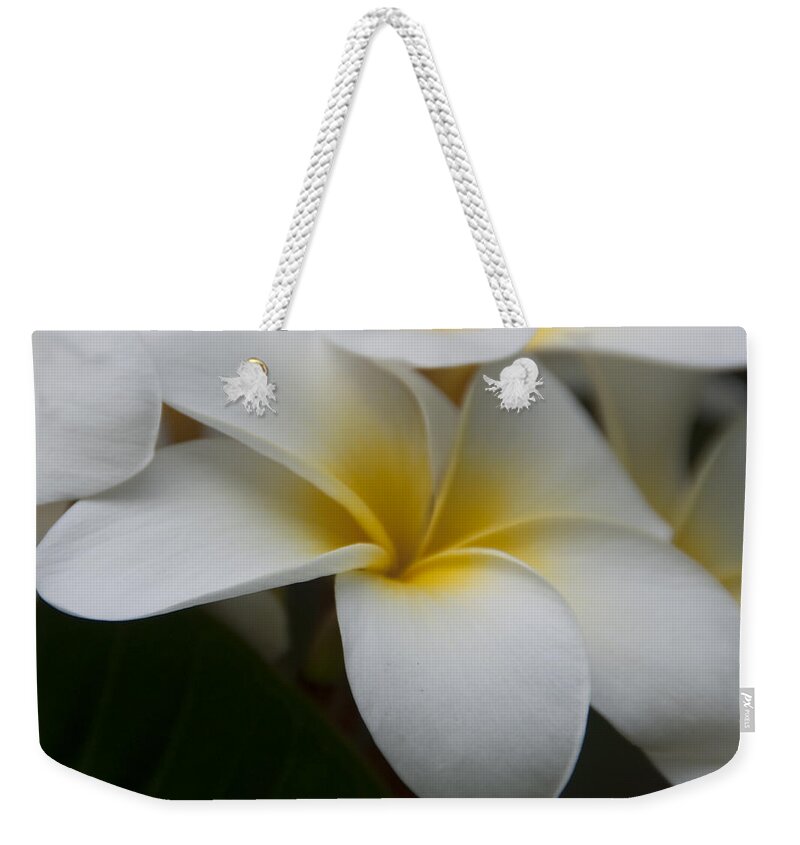 Kauai Weekender Tote Bag featuring the photograph Plumeria by Steven Natanson
