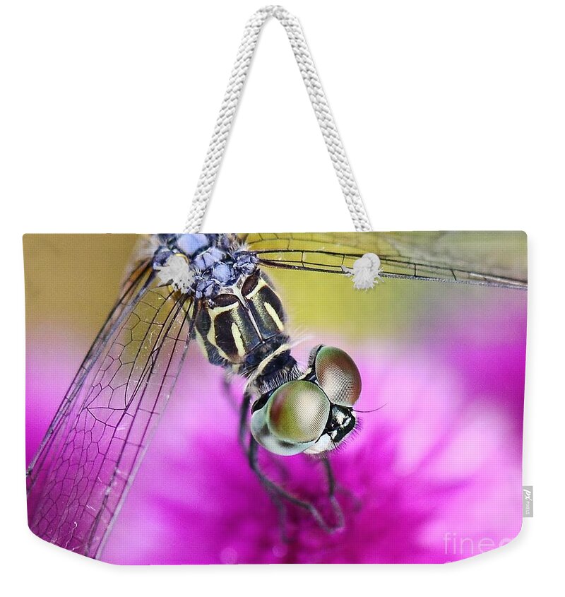 Dragonfly Weekender Tote Bag featuring the photograph Plush Landing by Lisa Renee Ludlum