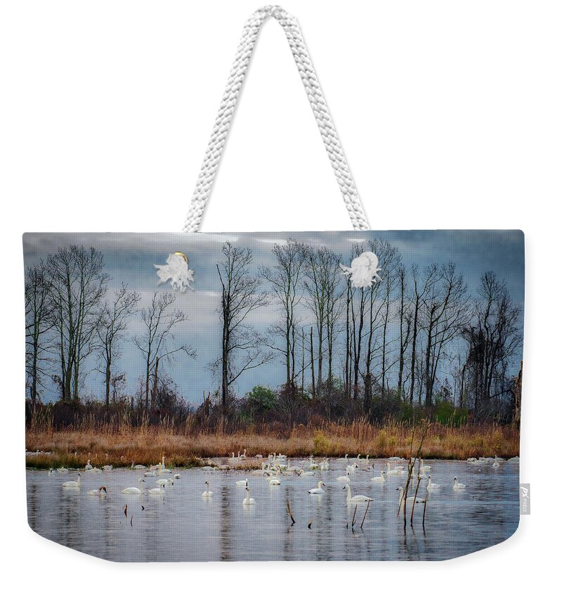 Nature Weekender Tote Bag featuring the photograph Pocosin Lakes NWR by Donald Brown