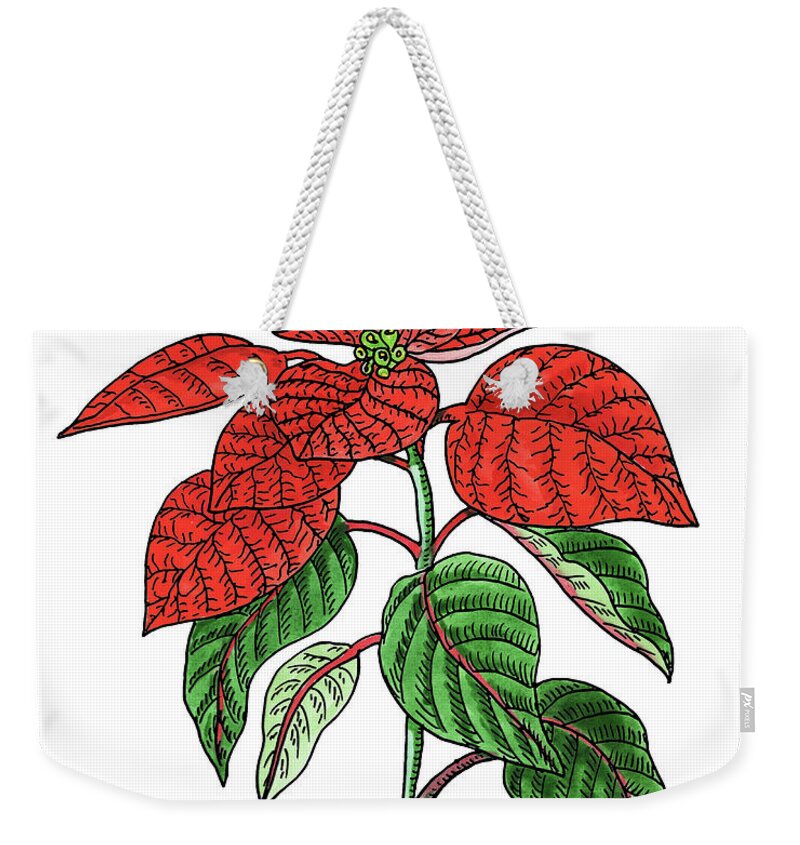 Poinsettia Weekender Tote Bag featuring the painting Poinsettia Plant Watercolor by Irina Sztukowski