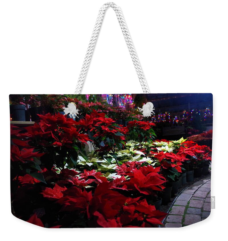Holiday Weekender Tote Bag featuring the photograph Poinsettias at Lamberton by Mary Courtney