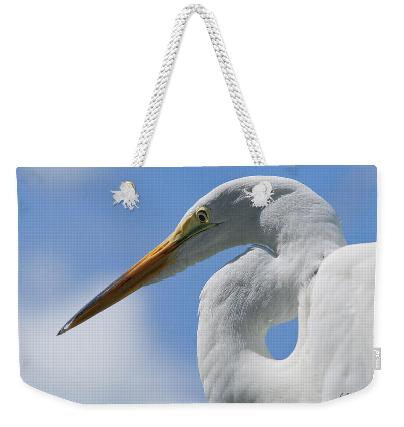 Bird Weekender Tote Bag featuring the photograph Pointed Curves by Christopher Holmes