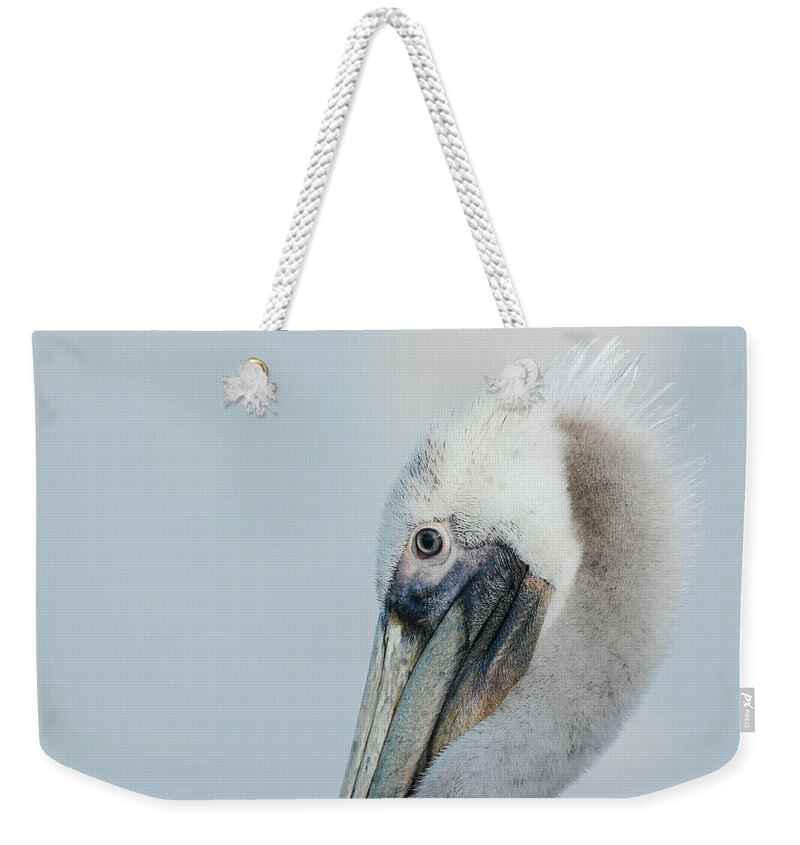 California Brown Pelican Weekender Tote Bag featuring the photograph Poise by Fraida Gutovich